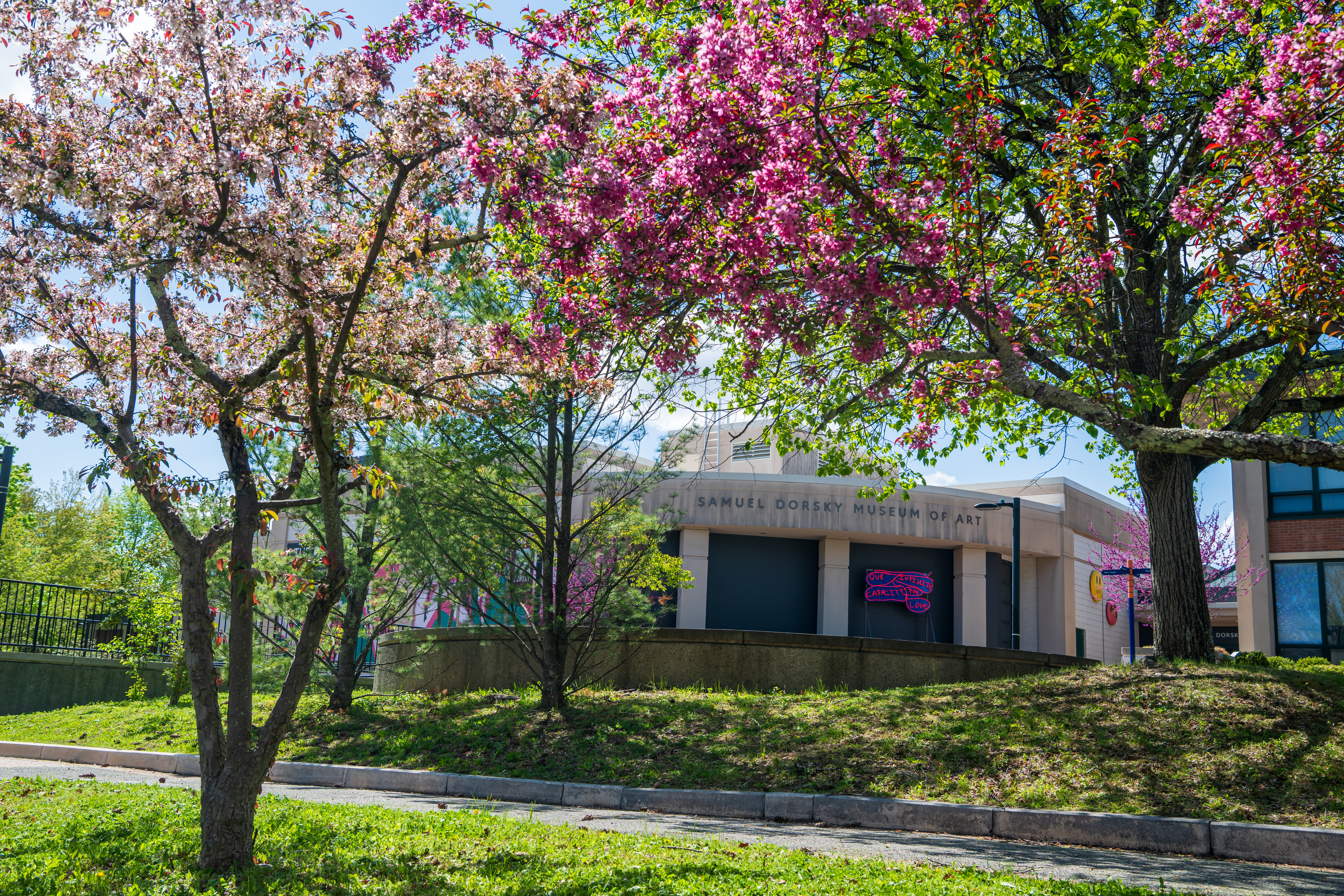 Celebrating 25 years of the Samuel Dorsky Museum of Art at SUNY New Paltz